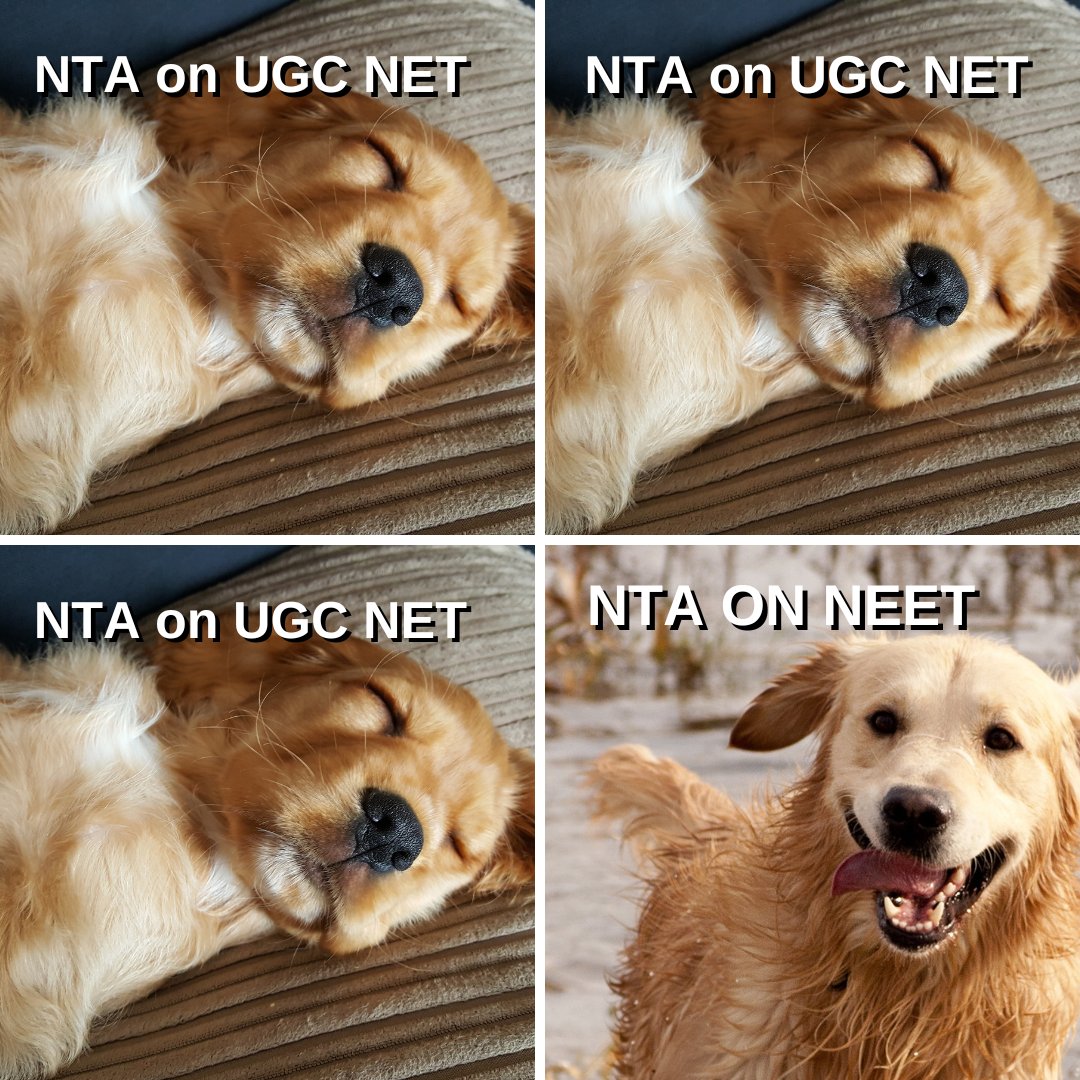 GargiS19468's tweet photo. Uth jaaaao bhai kitna sote rhenge aap log @ugc_india @abhish18 #NTAANSWERKEYOUTKARO

#Release_UGCNET_Answer_Key

#NTA_DG_RESIGN https://t.co/CPpmaiDvS9