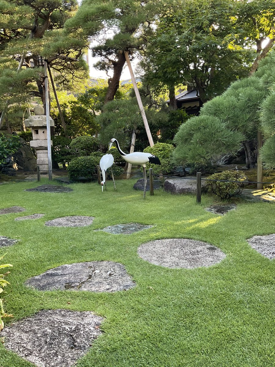 kyuozawake's tweet photo. 連日暑い日でしたので、久しぶりに水をまきました。ほんのいっときですが少し涼しげになりました。 https://t.co/GQSVOQ2GgV