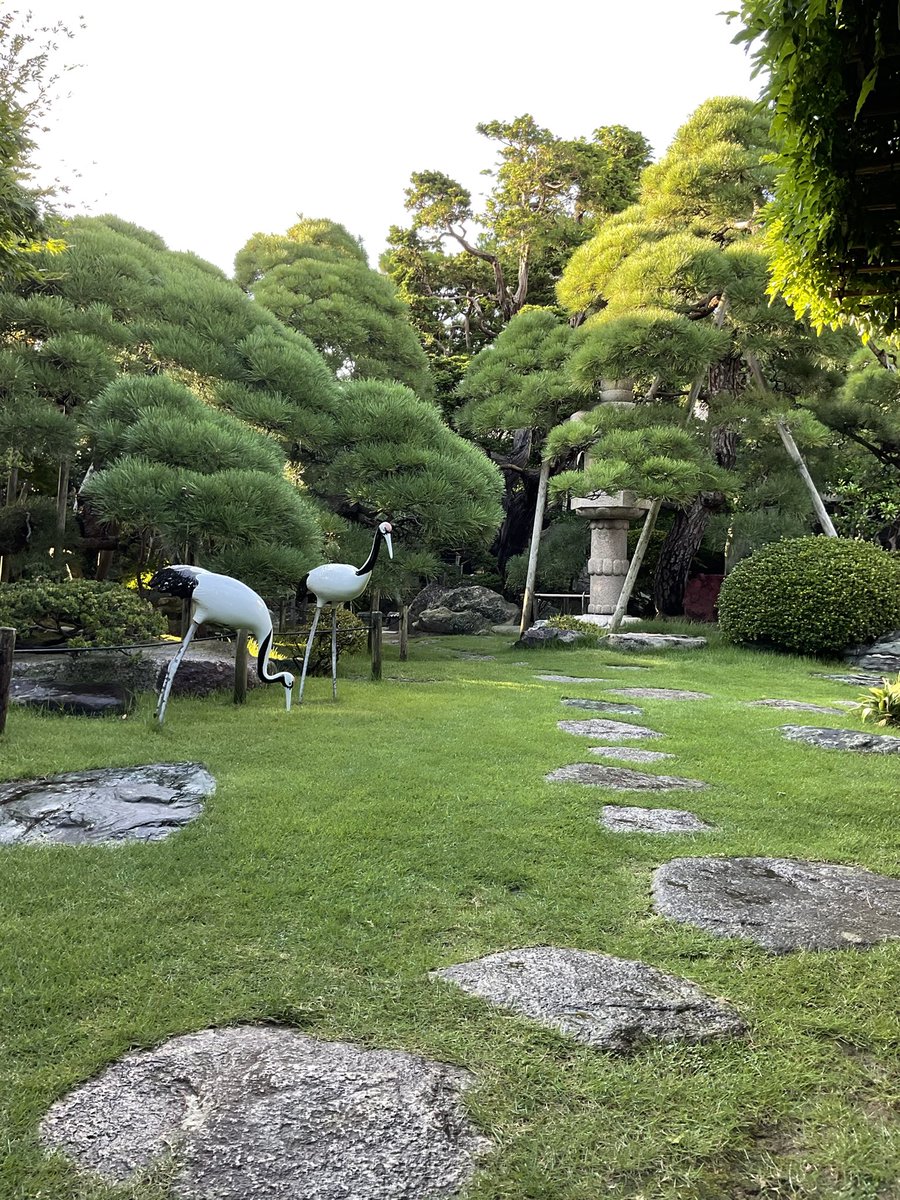 kyuozawake's tweet photo. 連日暑い日でしたので、久しぶりに水をまきました。ほんのいっときですが少し涼しげになりました。 https://t.co/GQSVOQ2GgV