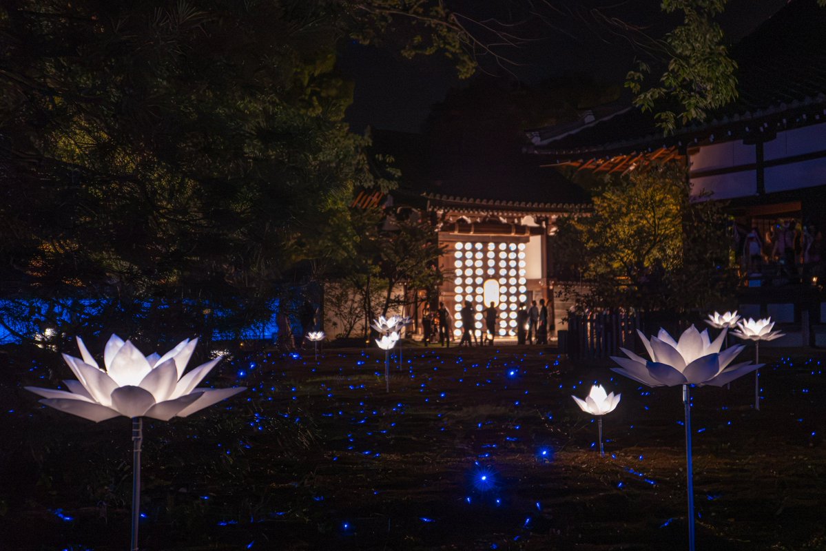 pya3_jp's tweet photo. 京都・青蓮院門跡の特別夜間拝観へ。
久しぶりにLeica D-LUX 8を持ち出しました。 https://t.co/PQSLDtKKAb