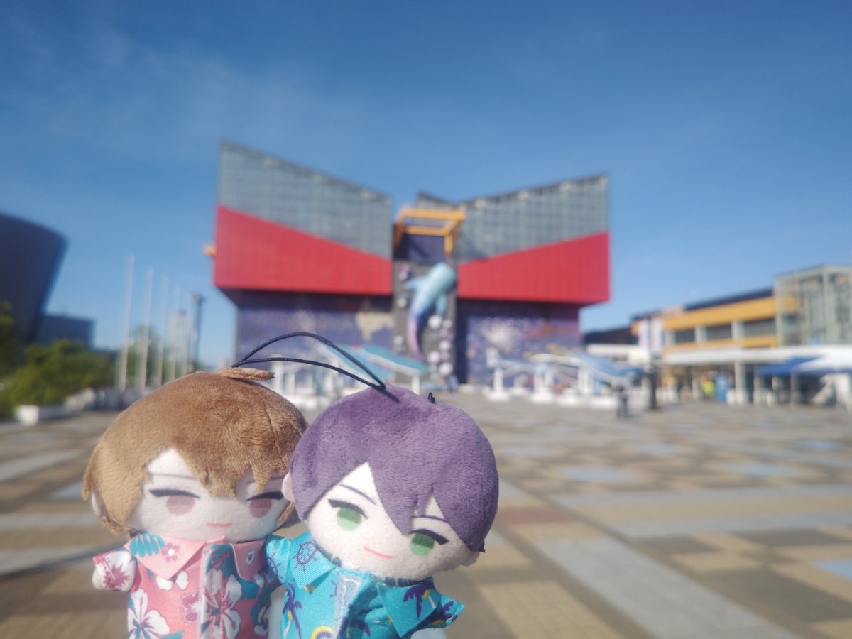 iyo_watching's tweet photo. 昨日のおもひでを載せていくぜ https://t.co/0JItRzUbvg