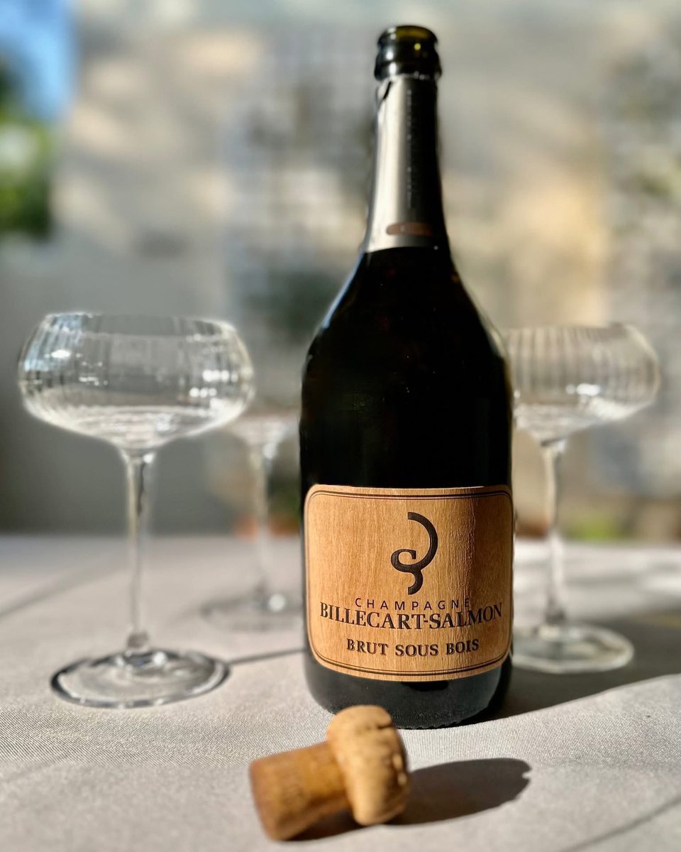 LaurasWorldza's tweet photo. Happy National Women’s Day South Africa! 🇿🇦

We're celebrating today with Champagne Le Sous Bois🥂🍾
This unique cuvée, which is entirely vinified in oak, is composed of the three Champenois grape varieties. 

What you can expect?
https://t.co/94RKR4afor

Santé! 🇫🇷 https://t.co/B22bHqykgG