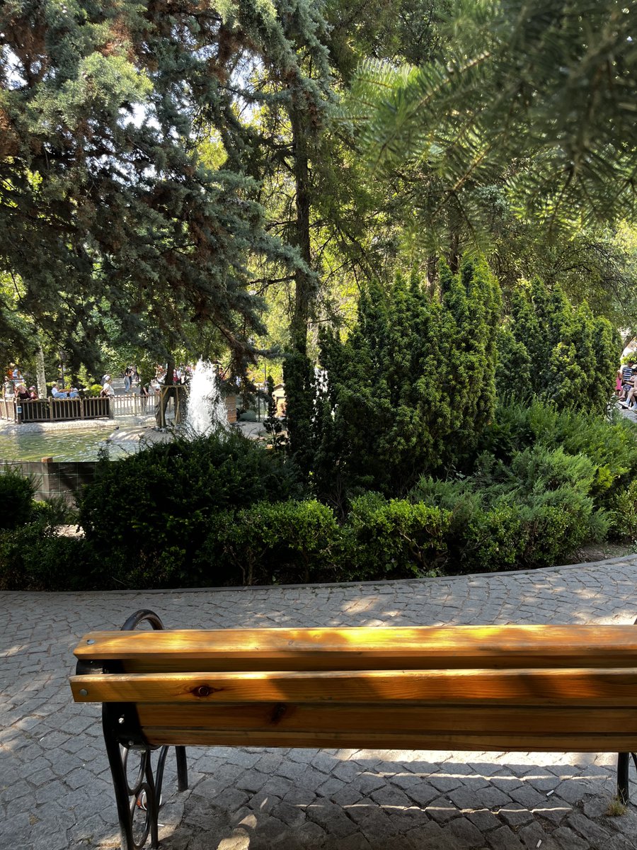 cerensiliv's tweet photo. günaydin…🌞 https://t.co/qCCebQmsv8