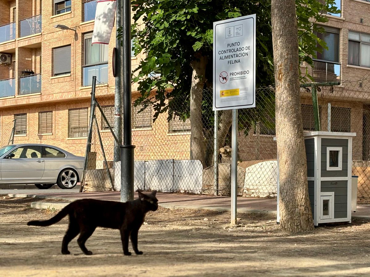AytoMurcia's tweet photo. El Ayuntamiento impulsa la gestión ética de las colonias felinas con cerca de 2.900 gatos esterilizados.

El programa municipal consolida el método CER como  herramienta para compatibilizar el bienestar animal, la salud pública y la convivencia vecinal.

ℹ️https://t.co/xUoLlhZHYf https://t.co/P8H186JQcS