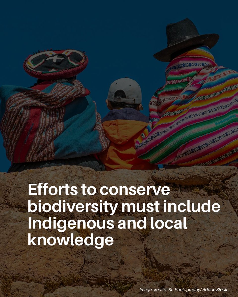 unepwcmc's tweet photo. This International Day of the World’s Indigenous Peoples, we honour the role of #IndigenousPeoples from across the globe as stewards of biodiversity and reaffirm the lasting value of their knowledge systems for generations to come. 
 
Learn more 🔗  https://t.co/NSlFXHWIIN https://t.co/BiwQImPxjF