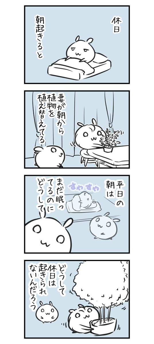Suchachabi's tweet photo. 2295日目 どうして https://t.co/CxvgFAPMLc