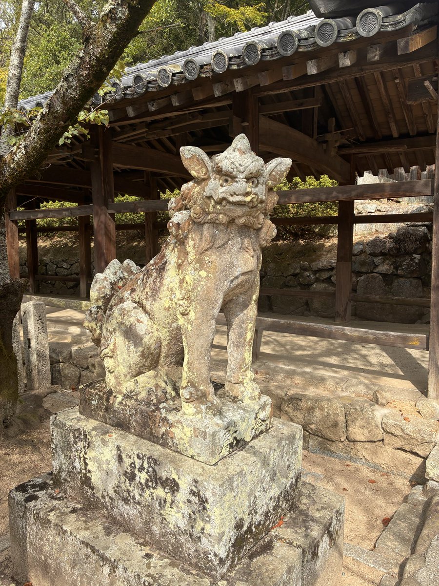 ghj4l9's tweet photo. #ぶらめぐる
#狛犬めぐる
タグあってる？ https://t.co/Z2fWEAAhEt