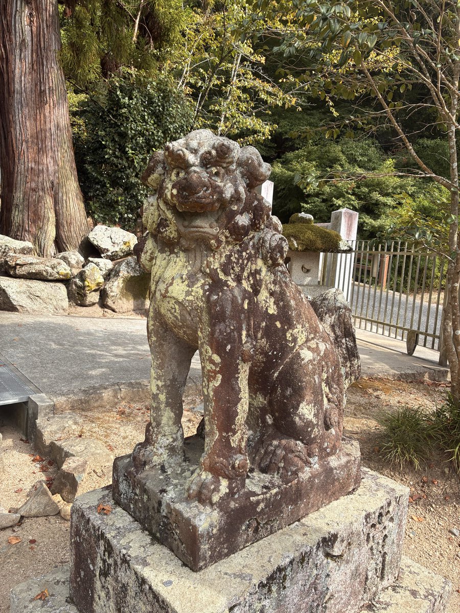 ghj4l9's tweet photo. #ぶらめぐる
#狛犬めぐる
タグあってる？ https://t.co/Z2fWEAAhEt