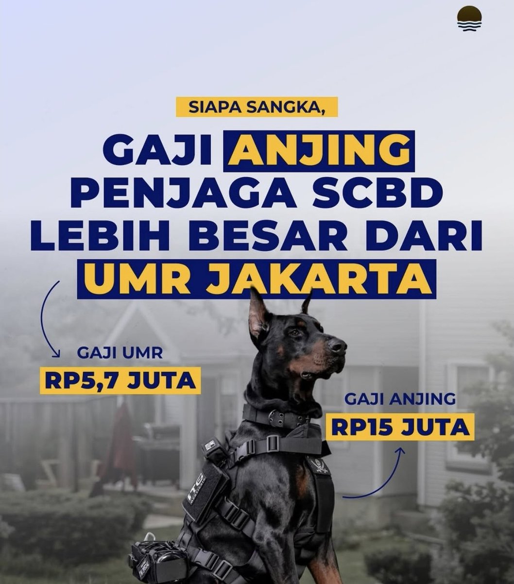 adarwis's tweet photo. Kisaran gaji Rp12 juta hingga Rp15 juta per bulan di kota besar seperti Jakarta umumnya ditempati oleh pekerja profesional di tingkat Senior Staff, Assistant Manager, atau spesialis yang memiliki keahlian khusus. https://t.co/MhnDrz5ukH