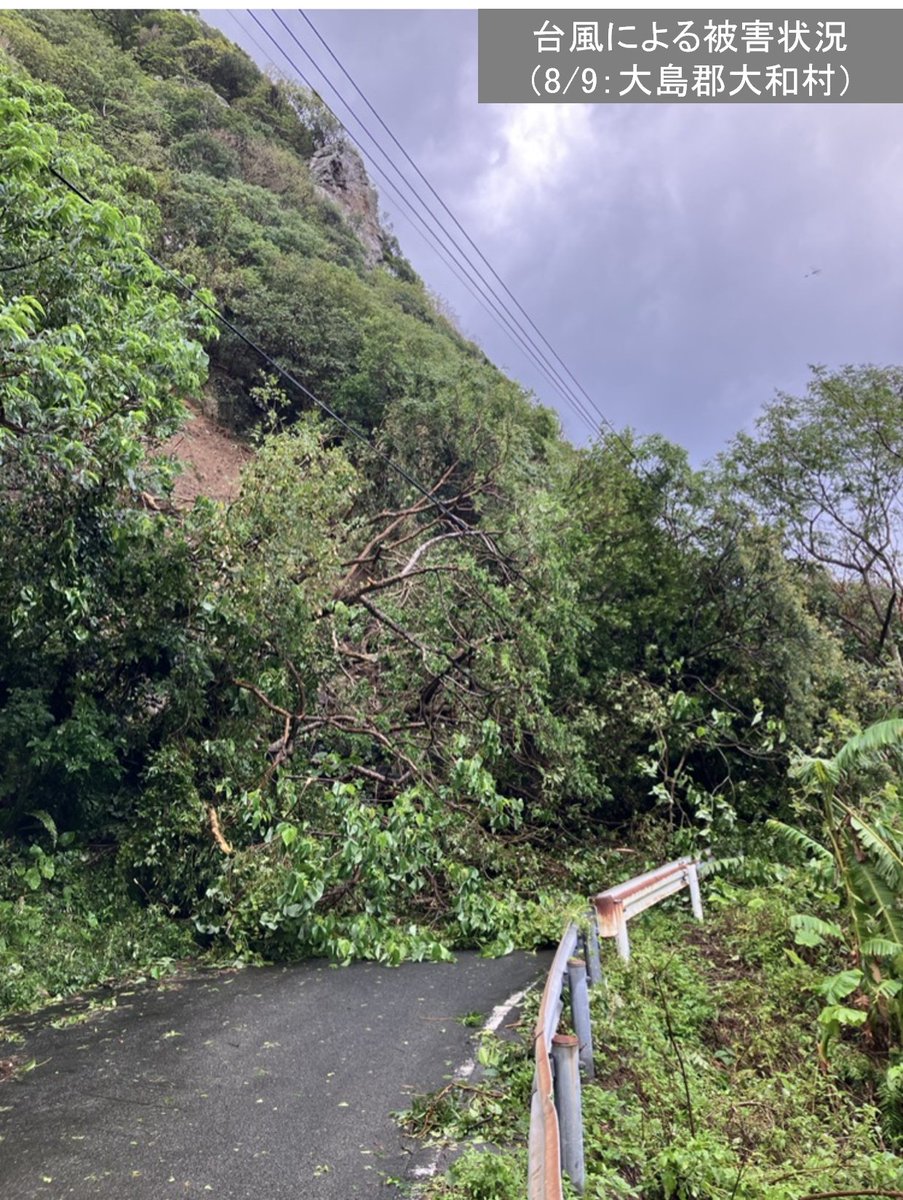 Kyuden_souhai's tweet photo. ８月９日(日)16時現在、台風13号の影響により鹿児島県内で約9,060戸が停電し、大変ご迷惑をおかけしております。
 
現在、九州電力送配電株式会社鹿児島支社と九州電力株式会社鹿児島支店に非常災害対策本部を設置し、両社一体となって早期復旧に取り組んでいます。

【最新の停電状況・お問い合わせについて】
現在、当社配電事業所（送配電コールセンター）へのお電話が大変混み合っています。スムーズな情報確認のため、アプリや自動応答サービス、チャット受付をぜひご利用ください。

▼九州停電情報提供アプリ
https://t.co/LaxbZc7g4V
▼停電情報自動応答サービス（お電話） 
https://t.co/wenxaMSB5R
▼チャット受付　
https://t.co/wenxaMSB5R
▼九州電力送配電ホームページ
https://t.co/gz3bHJm989