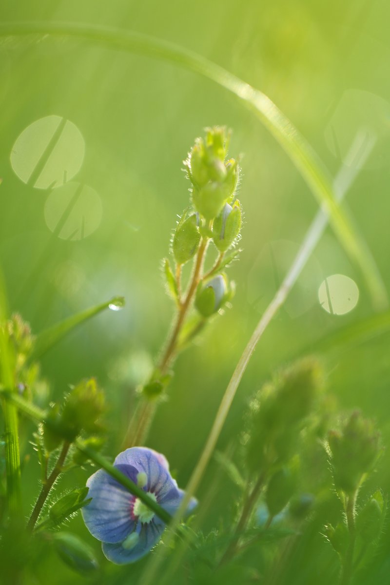 KASTPHER's tweet photo. Quick health tip: 10 mins of deep breathing daily boosts immunity u0026 lowers stress! Start small, feel big changes. https://t.co/vCrrKpSdT7