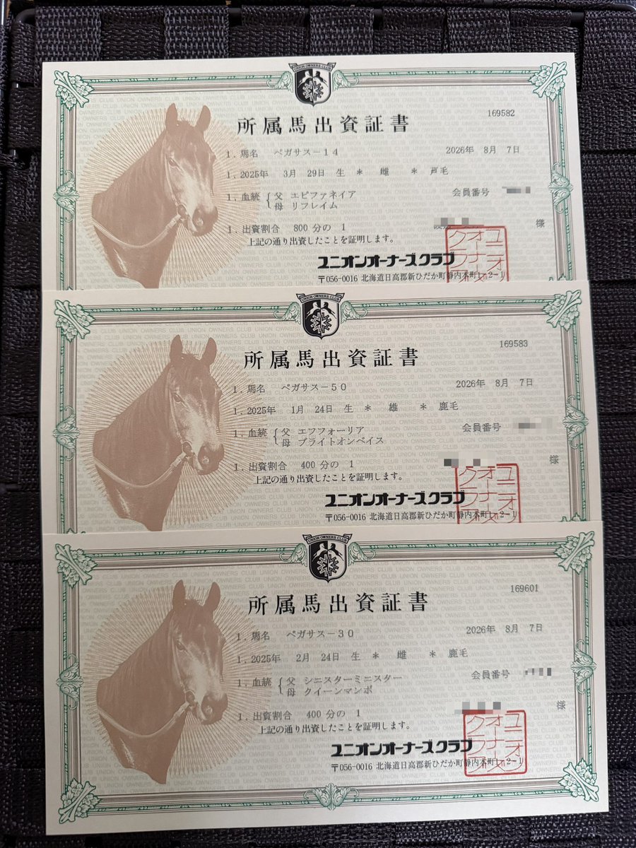 banubanu245's tweet photo. 当選したブライトオンベイス25とリフレイム25に加えクイーンマンボ25に滑り込みで出資出来ました。
お母さんの様な走りになるのか凄く楽しみな2頭と凄く気になった子なので3頭とも期待してます！

#ブライトオンベイス25  
#リフレイム25
#クイーンマンボ25
#ユニオンオーナーズクラブ https://t.co/MqOBjhW987