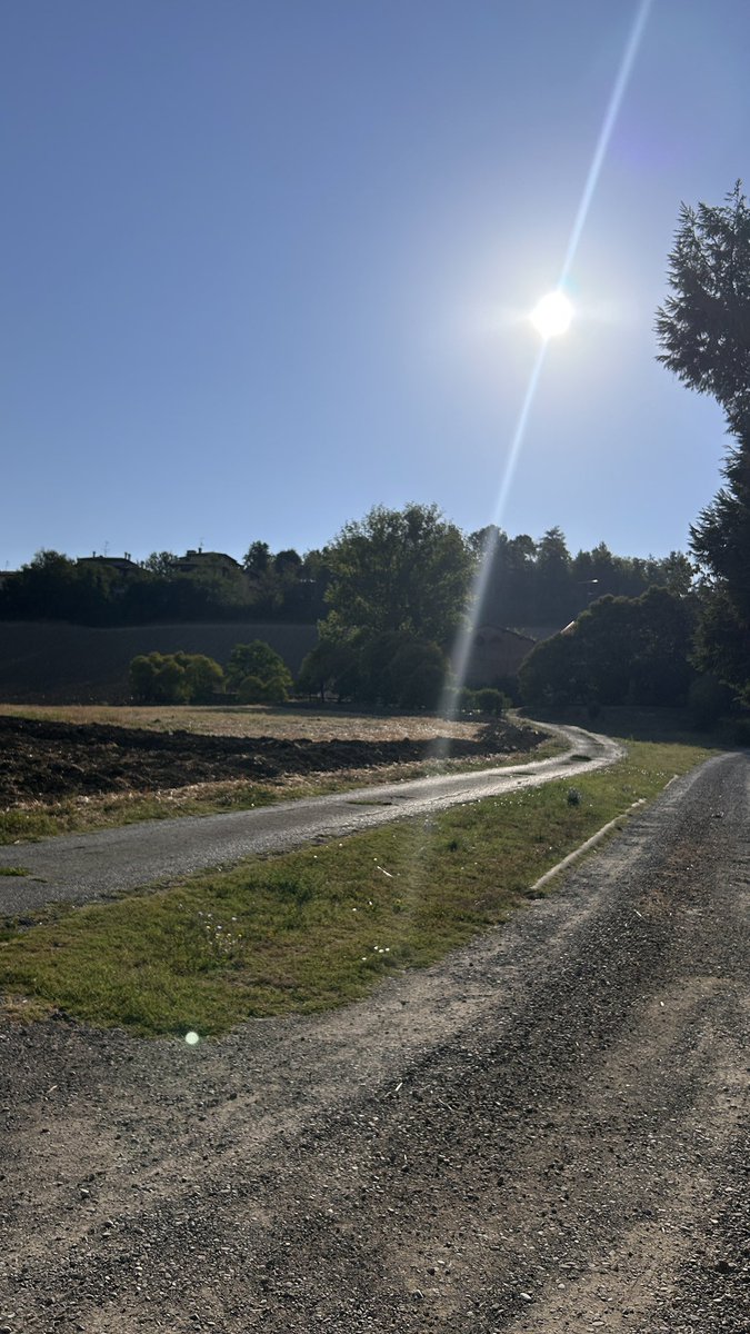 cinziainbici's tweet photo. 24 km “gustosi”, con ripetute 4x5000 mt…forse è meglio che mi riposi un po’ 😅😂#iocorroallacarlona #corsecialtrone #roadtoRavennaMarathon #runlovers https://t.co/oYlAOrPSvV