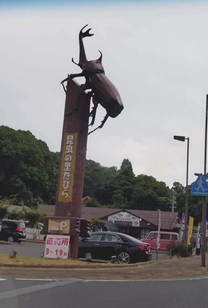 boyoyon1359's tweet photo. 赤い橋
この橋の化粧廻しが好き

(🚙💨途中で大きなカブトムシ発見🤣) https://t.co/ty3yF9eygQ