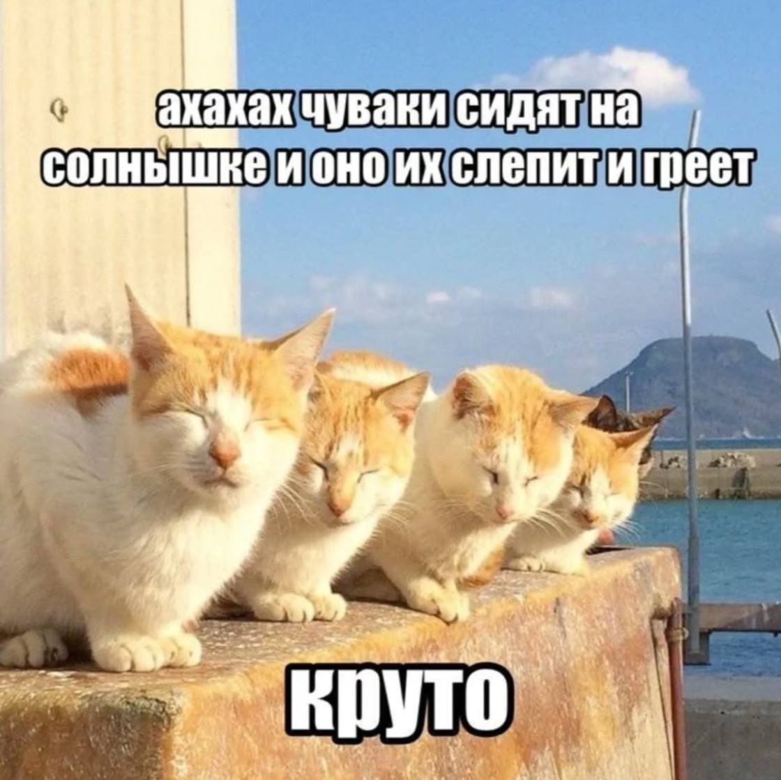 shkotobaza's tweet photo. https://t.co/NQDZ6AdopI