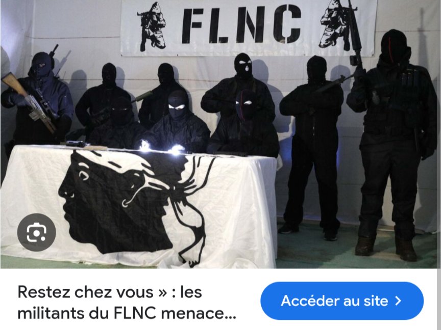 LaligueTurtles_'s tweet photo. @Marcel81048792 Entre Bismuth, les Balkany, le Deluxe & Cie, je comprends mieux la renaissance du #FLNC 😇😇😇 https://t.co/I9isM3qkKe