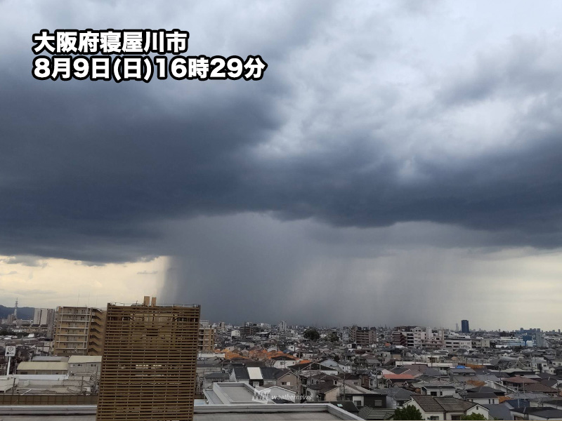 wni_jp's tweet photo. 【大阪に巨大な雨柱が出現】
今日9日(日)、大阪市の中心部はゲリラ雷雨に見舞われていて、夜にかけて天気の急変に注意が必要です。大阪府内からは「雨柱」の報告が多数寄せられています。
https://t.co/evkUiD0Uek

▼動画や写真をマップで見る(アプリ) 
https://t.co/Uu3SbksFvI https://t.co/1YdubPfaqZ