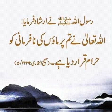 ChotiSheikhni's tweet photo. یہ ہمارے پیارے نبی حضرت محمد صلی اللّٰہ علیہ وآلہ وسلّم نے فرمایا https://t.co/vv5rtvMC2X