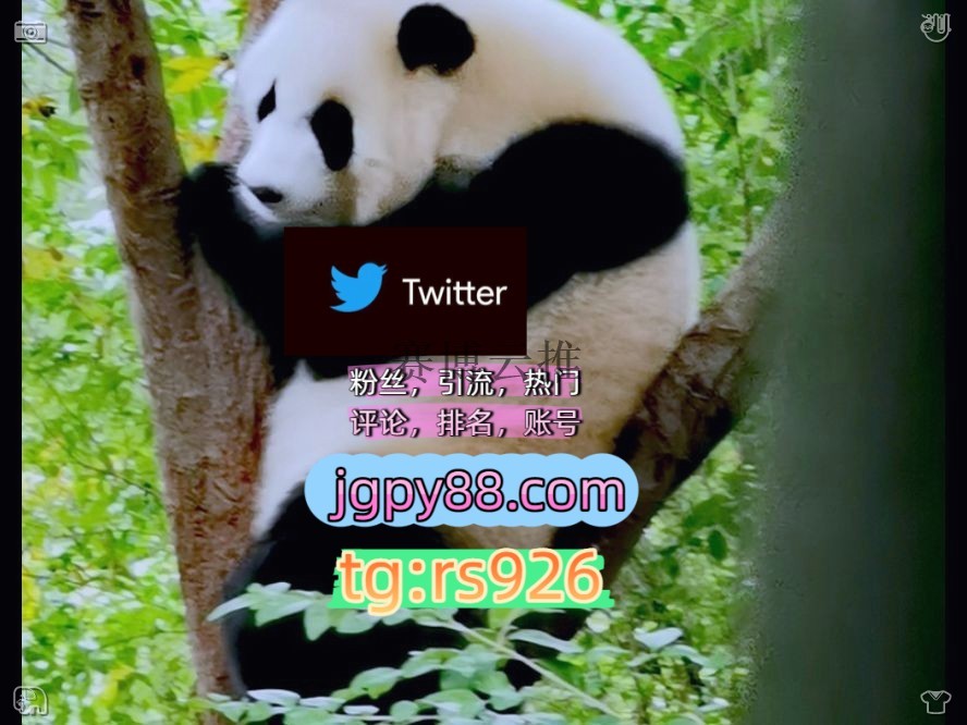 xi_ainyan's tweet photo. Be loyal and love those who trust you.
软件获客、海外推广、流量增长点赞号外🛀facebook上门
矩阵互动🌞輔助工具🌂推特账号粉丝号开门
批量发帖、多账号管理、推广营销代发围777712注册号
自动脚本北1京、上1海、广1州、深2圳‌代发呼和浩特   😣客.服看→资.料
上热门instagram🚋 https://t.co/6iADOTwObo