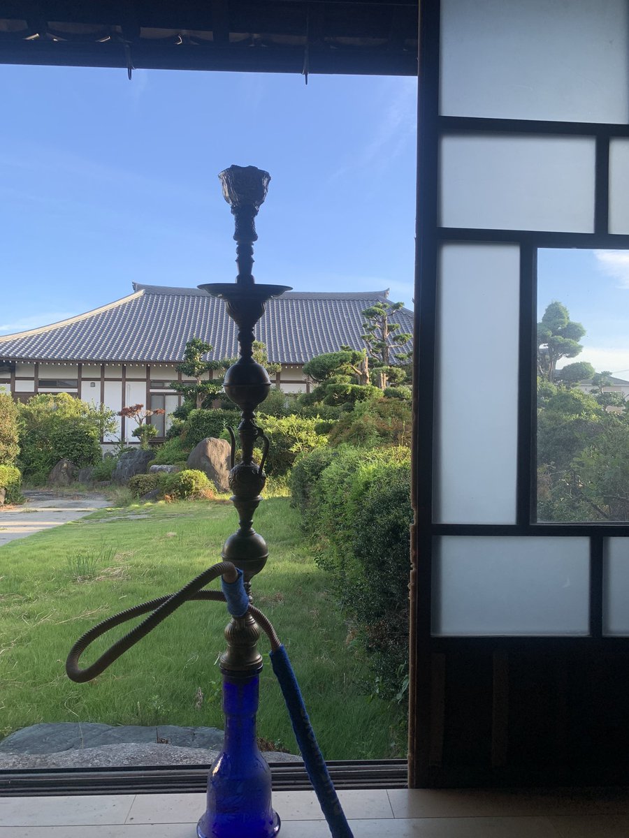 die_health's tweet photo. ENGAWA https://t.co/3fJRBwim7c