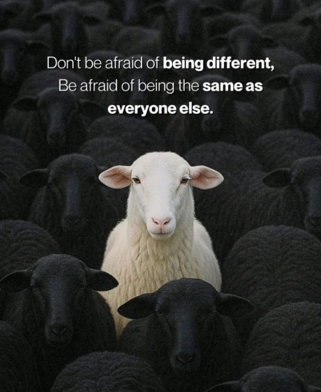 mindfulmaven_'s tweet photo. https://t.co/8jPFlglX2p