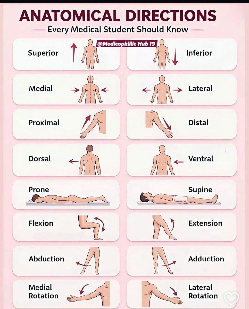 Doctors__squad's tweet photo. ANATOMICAL DIRECTIONS 🧭 https://t.co/3UtMuW5Ayy
