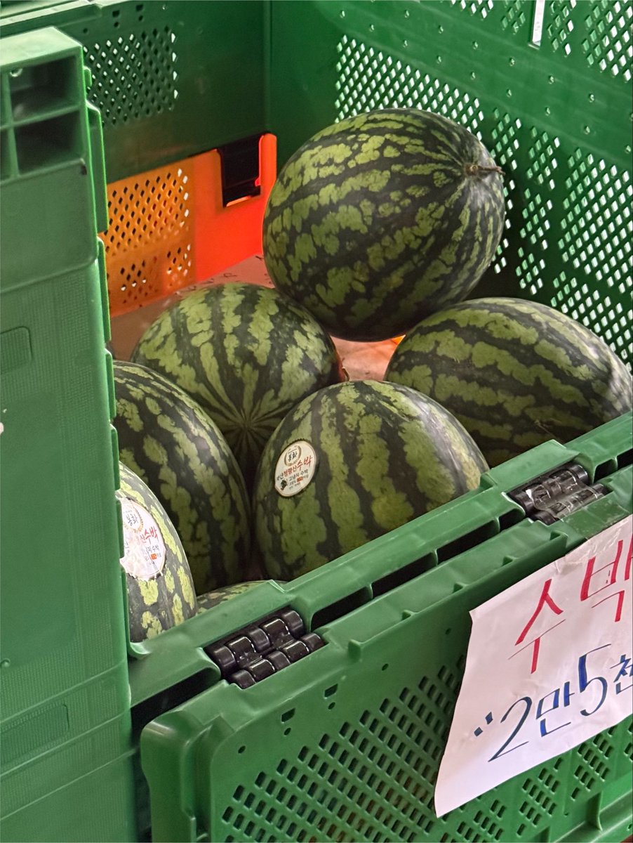 mmmdddno's tweet photo. 수박 겁나 커 🍉🍉🍉 https://t.co/A17T3cXjhi