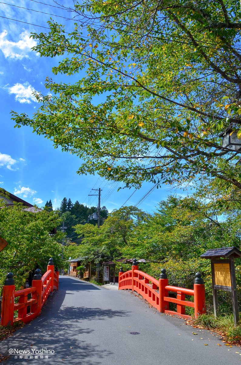 News_Yoshino's tweet photo. 8月11日は #山の日(祝)！！

ここ奈良吉野山は標高が1000m以下の低山ですので、気軽に山歩きを楽しむのに最適なスポット👌
国立公園＆世界遺産でもある ＃吉野山 で、ぜひ「山の日」は大自然を満喫して下さい😉
（写真は8/7と8/8に撮影）

#夏休み  #盆休み  #登山 https://t.co/xYDzSuvXNQ