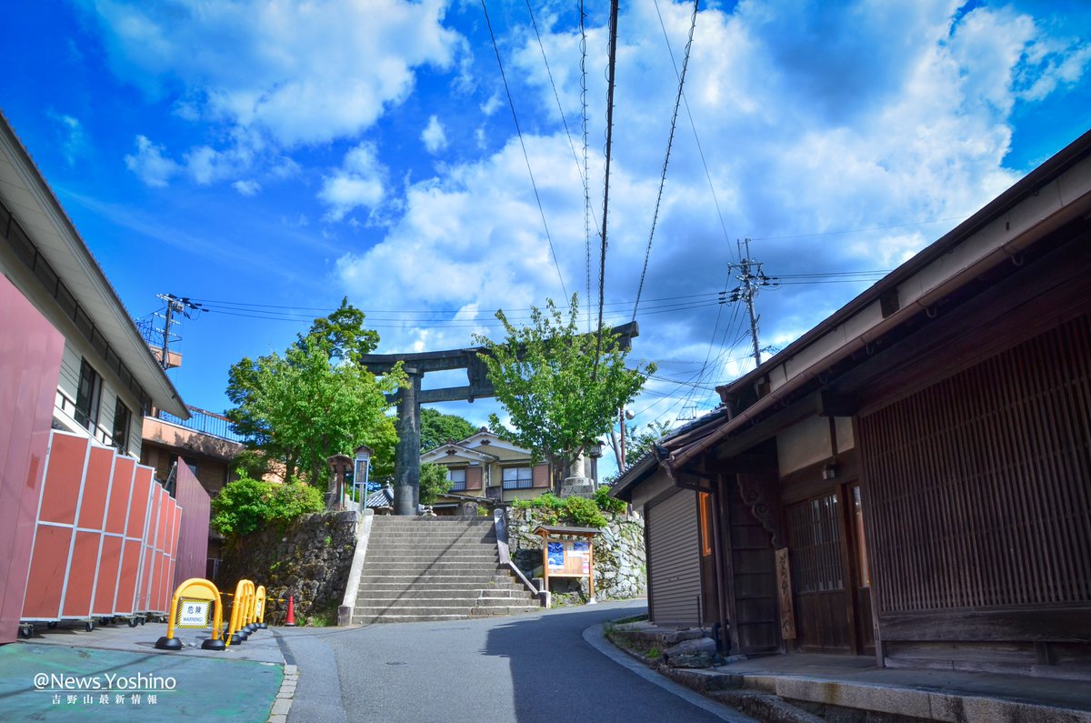 News_Yoshino's tweet photo. 8月11日は #山の日(祝)！！

ここ奈良吉野山は標高が1000m以下の低山ですので、気軽に山歩きを楽しむのに最適なスポット👌
国立公園＆世界遺産でもある ＃吉野山 で、ぜひ「山の日」は大自然を満喫して下さい😉
（写真は8/7と8/8に撮影）

#夏休み  #盆休み  #登山 https://t.co/xYDzSuvXNQ