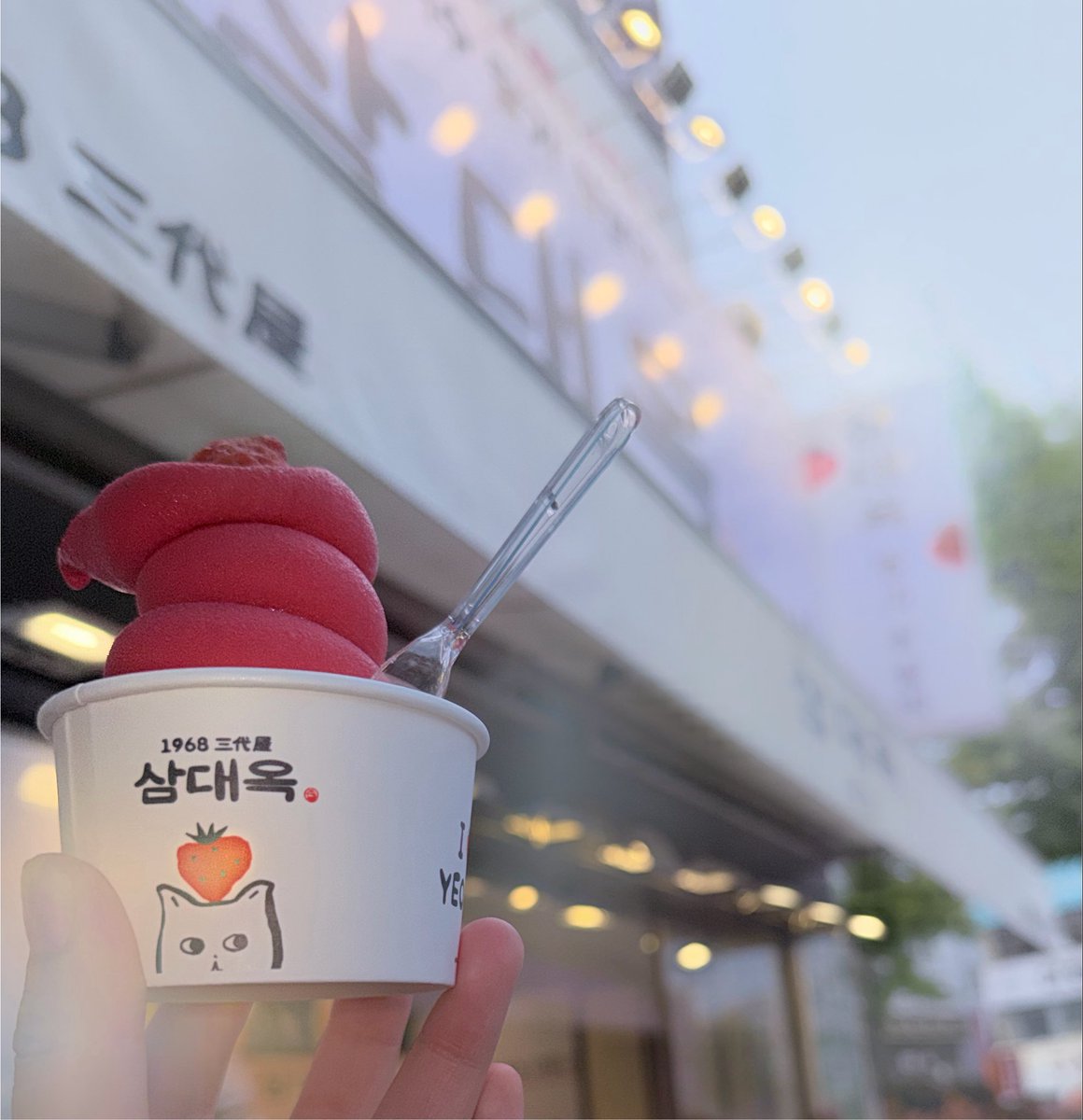 amadeww_'s tweet photo. 여수 또 갈래 😁😁 https://t.co/nIPWQa2pVX