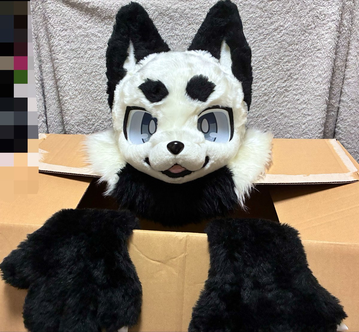 Kanata_in_VRC's tweet photo. 獣獣承知さんから狐の子をお迎えしました！
名前は零月(レイゲツ)です！
これからよろしくね！
こら！こそ！撮り方が下手とか言わないの！ https://t.co/ti8R9jrom6