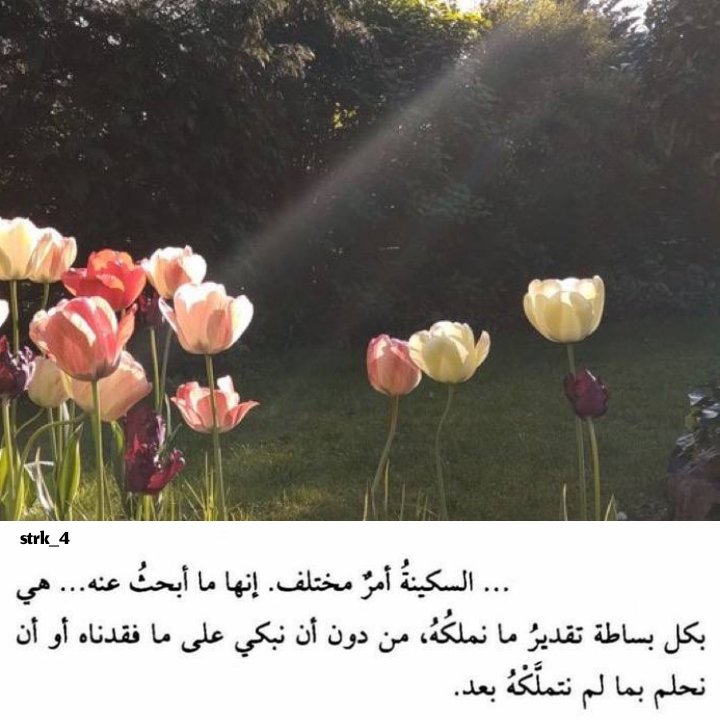strk_4's tweet photo. https://t.co/CbYu5sjvuC