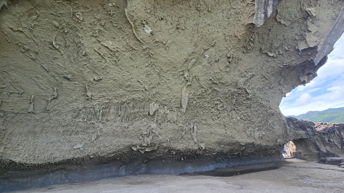 loyal_zensyo's tweet photo. 佐藤VS自然 https://t.co/7YIQhQc9Sx