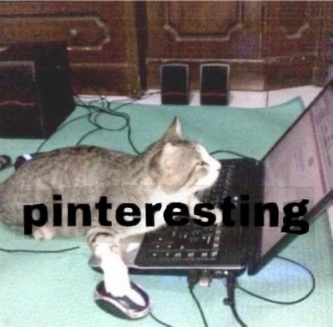 9h30m's tweet photo. fui fazer aquilo de colocar palavrao na pesquisa do pinterest e ele dobrou a aposta https://t.co/AEwxpMGhov