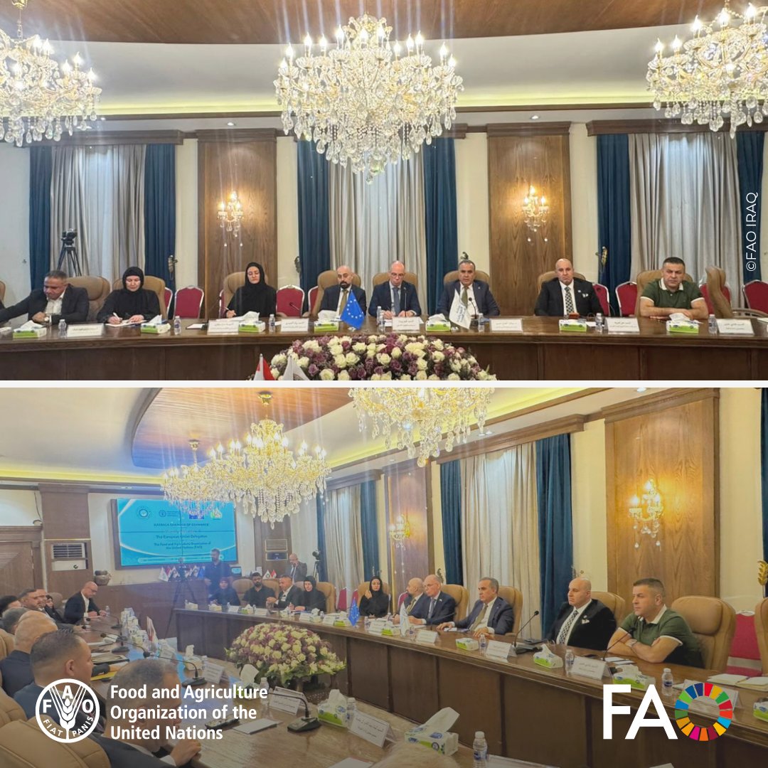 FAOIraq's tweet photo. FAO Iraq Rep. @shajjhassan &amp; team joined @EUinIraq in strategic meetings w/ H.E. Karbala Governor, Governorate reps. &amp; Chamber of Commerce, discussing priorities for sustainable development, agriculture, women &amp; youth empowerment, innovation, technology &amp; resilient livelihoods. https://t.co/SRBRoR6ZSu