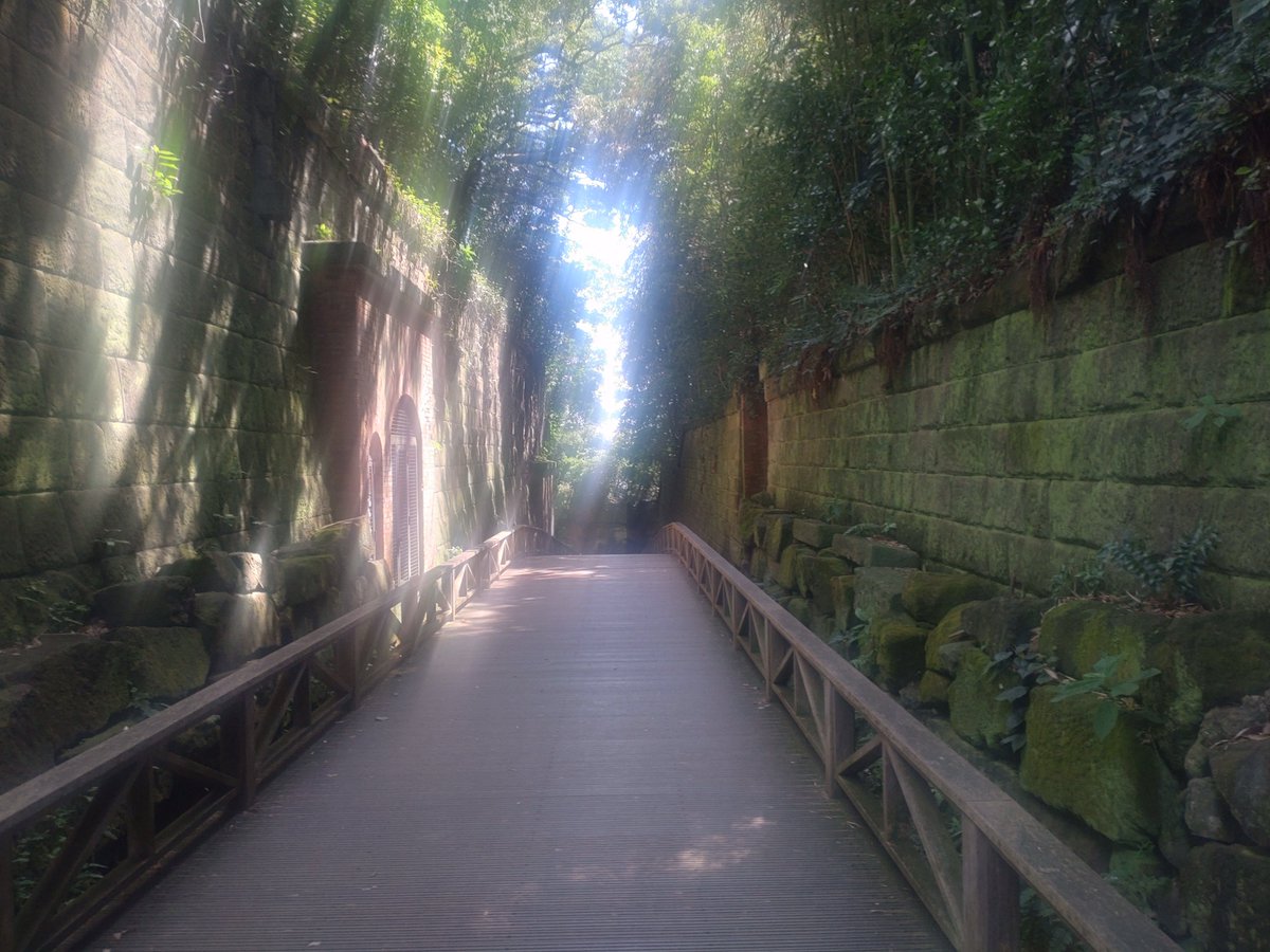 teitoku1215's tweet photo. 猿島からホテルへ戻って来ました。

自然豊かな山（注:運動不足のてーとくには山です)は意外と涼しく、ジ◯リに出てきそうな空間は見ていて飽きませんでした✨
頂上からみる東京湾も綺麗で雲がなければ富士山も見えるそうです🗻
＃横須賀
＃猿島 https://t.co/LjiMRKwAit
