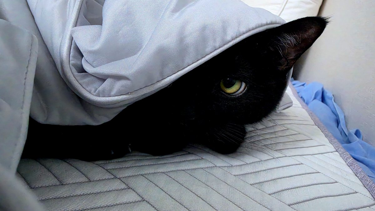 vantablack627's tweet photo. 경계 https://t.co/73KNfJW3ze