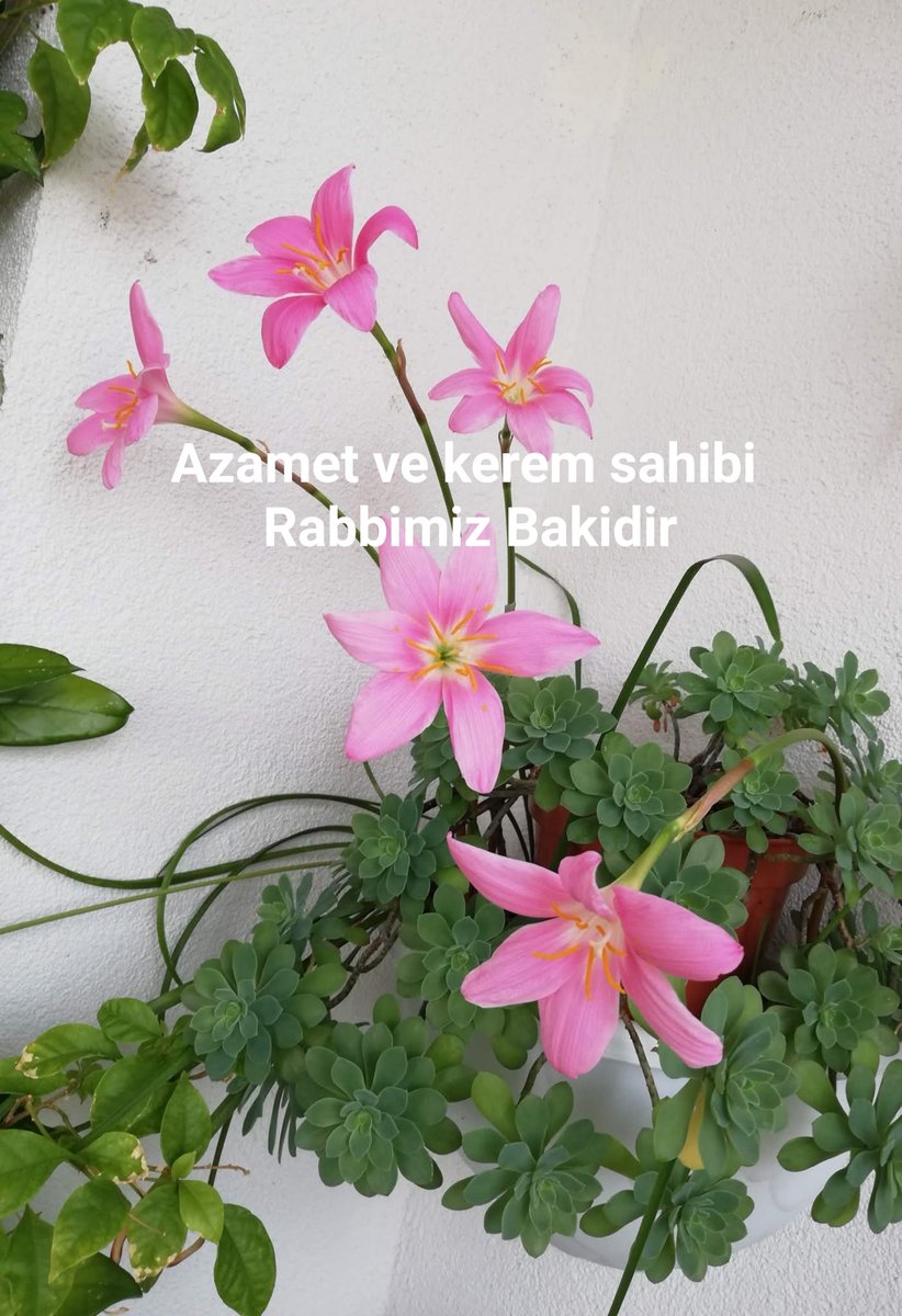 damlasukaya06's tweet photo. Bir avuç içine sığar #insan'ın #sevinç ve #mutluluk'ları,
Tıpkı bir avuç içine sığan #Dua gibi.
#Bismillah
"Yeryüzünde bulunanların hepsi #fâni'dir.
#Azamet ve kerem sahibi Rabbinin zâtı ise bakidir,kalıcıdır."
(Rahman-26) https://t.co/sbsySCeXkk