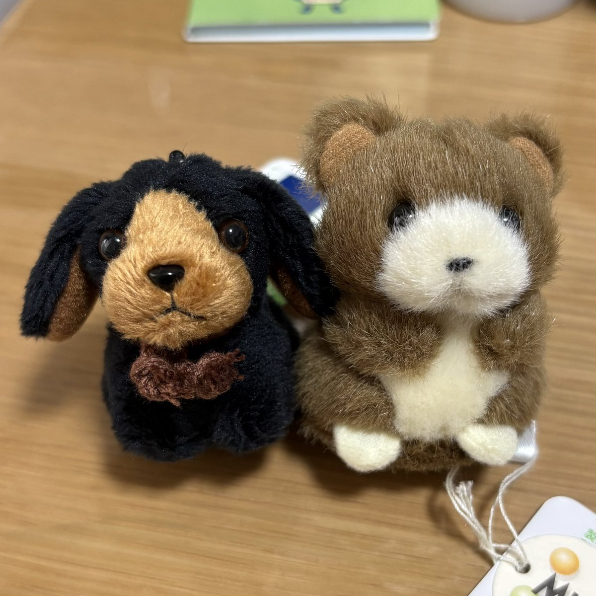 yr_10cc's tweet photo. ずっと欲しくてオンラインで買おうか悩んでた、たけのこさんのぬいぐるみがまさかの鶴屋に来てて、期間中に買いに行けて本当によかった🤍
本当にめちゃめちゃ可愛い🥺🤍 https://t.co/fklZLSRq1R