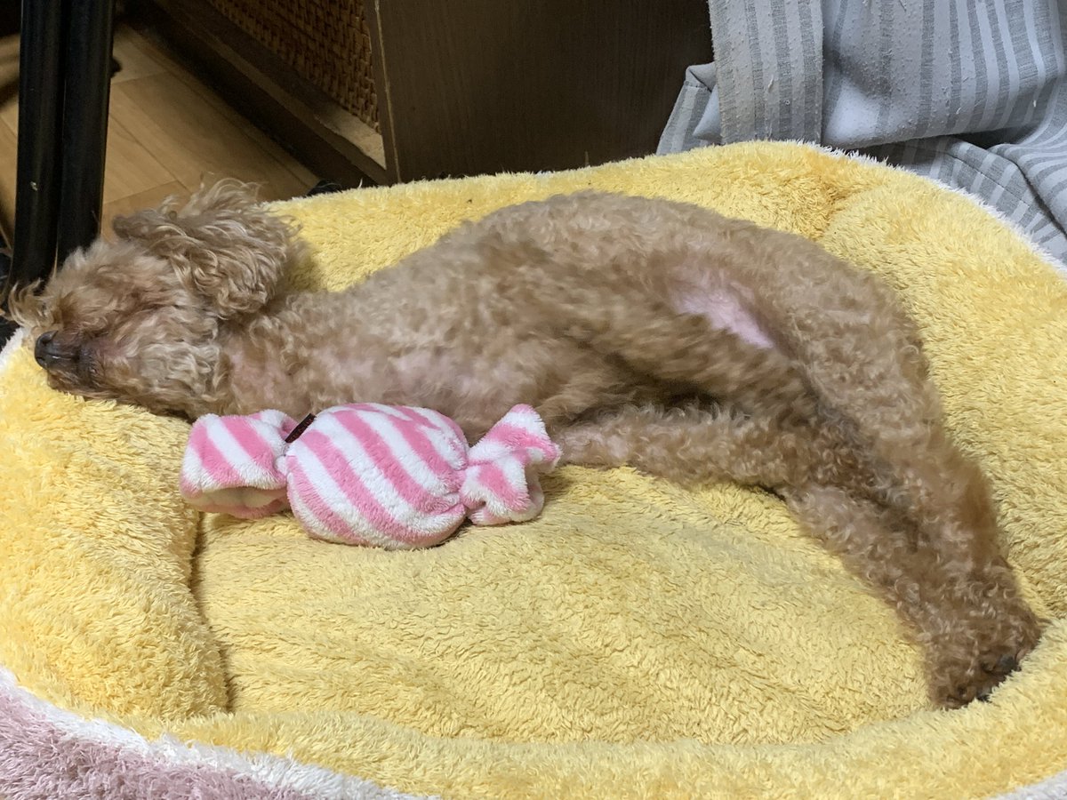 kato_yoshihiro_'s tweet photo. コンタクトの精度が微妙でみんなの顔よう見えんかったw 作り直しやな　会場まで来てくれてありがとう❗️次回までに歌詞覚えます🙏

尚、写真、動画、臭いw自由に拡散して頂き、ミーム化まで面倒見てやってくんなまし😀 https://t.co/Hf6q8WGOYD