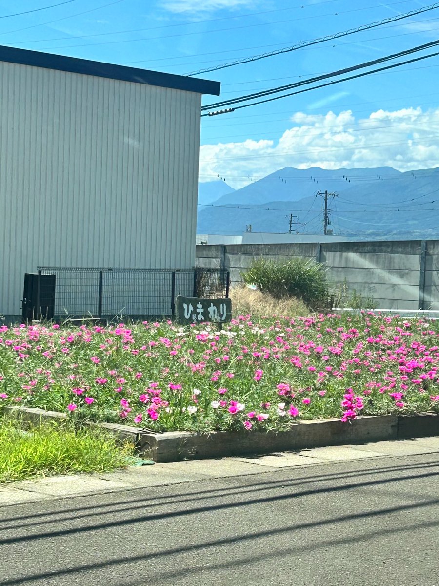 Don_2_dotamaaaa's tweet photo. わかんないけど違うんじゃね https://t.co/vZis7sqoFM