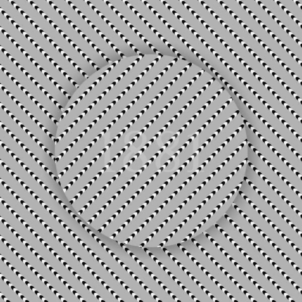 Gini_220's tweet photo. No one has found the number in the box so far

What number do you see?

LEVEL- VERY HARD

WINNER takes $1800
ends in 24 hours https://t.co/CfjHCw0bGZ