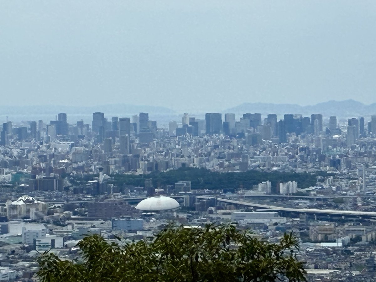 FreeBirdEye's tweet photo. 3ヶ月ぶりの #飯盛山 ツクツクボウシは今夏初めて、ミズタマソウが咲いてました♪ https://t.co/Y9g0f469sG