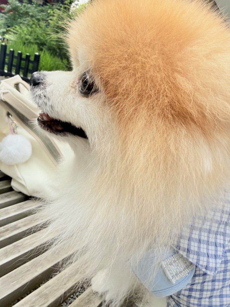 iga_riri's tweet photo. 8月のお参り。今日は...田無の君に会えた😆 https://t.co/sasD667U02
