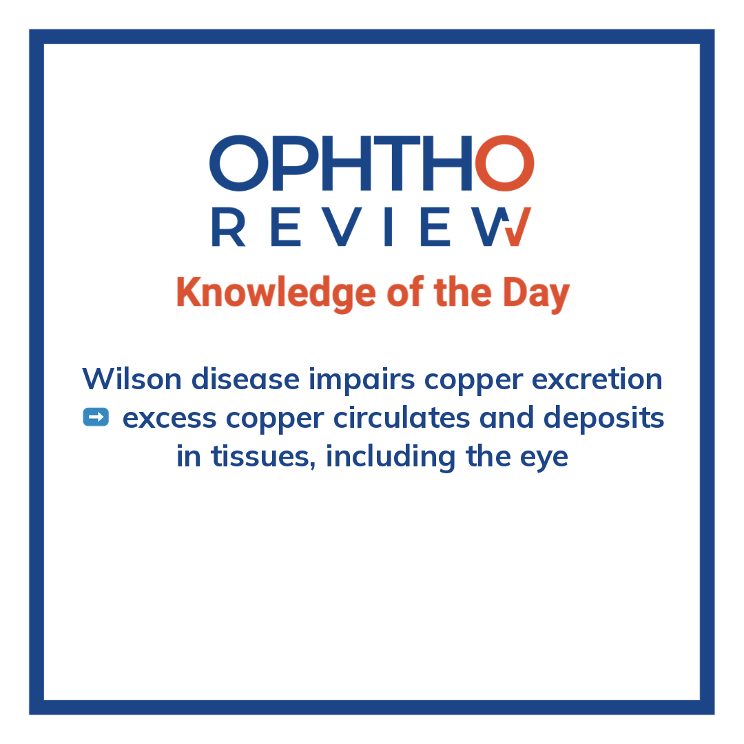 ophthoreview's tweet photo. Wilson disease

#ophthoreview #ophthalmology #ophtho #ophthalmologyresidency #ophthalmologist #surgicaleducation #medicaleducation #meded #surgery #medicalstudent #medicine #medicalschool #resident #residency https://t.co/g0KVIzQ3HG