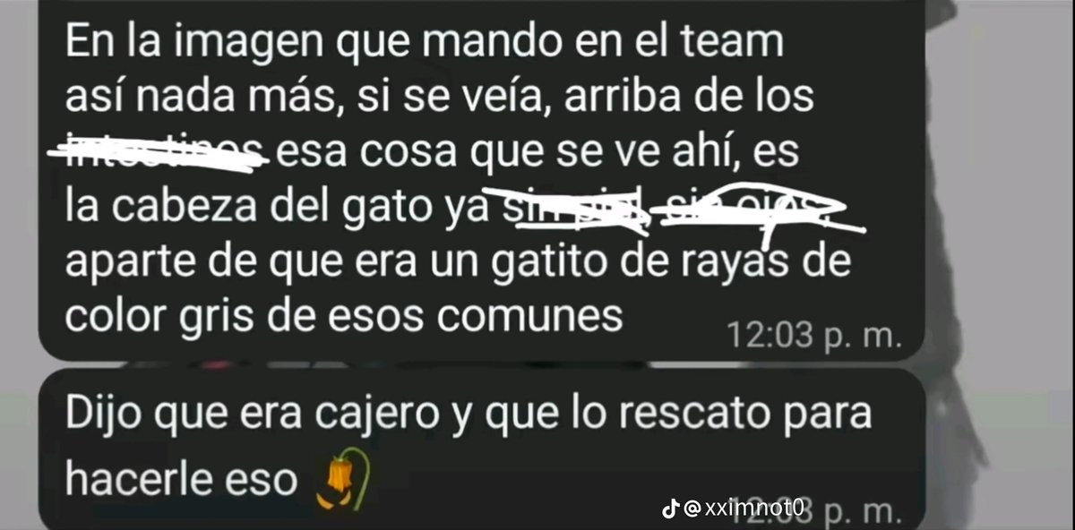 lyn54xob's tweet photo. Encontré en tiktok el número y el caso de un maldito enfermo el cual m4t0 a un gato y le hizo cosas horribles y las tiene en su ft de perfil donde está el gato mu3R70 y un chico contacto con el y este respondio que la próxima vez sería con su perro este enfermo sigue en su casa https://t.co/uBau6iLtGs
