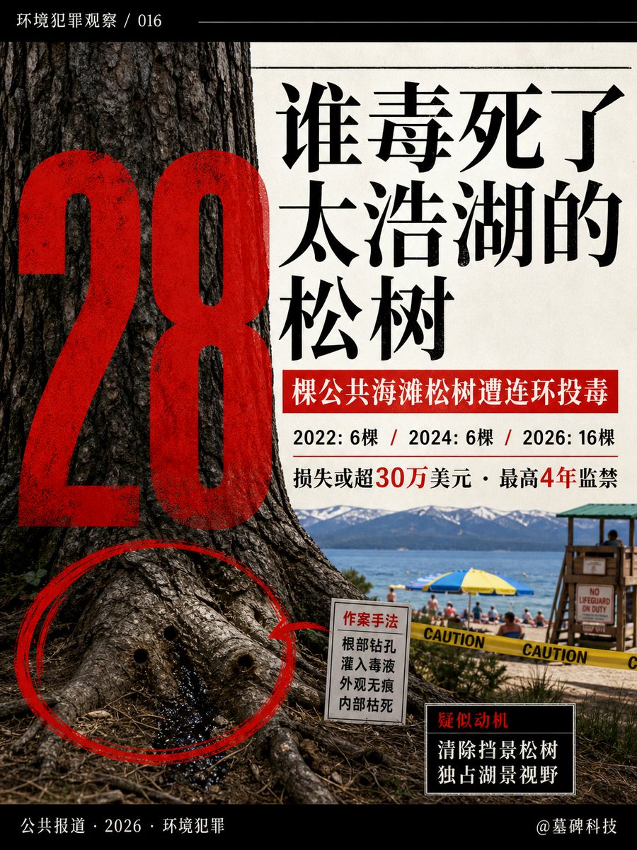 mubeitech's tweet photo. 28棵松树，被人悄悄在根部打孔，灌进了毒药。
经济损失直接飙过30万美元。

事情发生在美国太浩湖（Lake Tahoe）旁的一处公共海滩。
这不是什么随机的恶作剧。
这是一场跨越了四年的“连环投毒案”。

看一眼时间线就懂了。
2022年，6棵。
2024年，又是6棵。
到了2026年，突然加速，16棵树接连中招。
整整28棵松树，无一幸免。

怎么下的手？
作案手法极其阴险。
毒手专门挑树根下手，用工具钻出深孔。
然后，把毒液顺着洞口直接倒进根系深处。
从外面看不出外伤，树却从内部一点点枯死。

直到今年7月，巡逻警员在树旁闻到了一股刺鼻的异味，事情才彻底败露。
警方化验了土壤，确认这三波投毒，用的是同一种毒药。
至于具体是什么化学物质，犯罪实验室还在查。

到底图什么？
没人确切知道凶手是谁。
但最符合常理的推测很直白：这些树，可能挡了某人的无敌湖景。
为了扫清自家窗外的视线，把一片社区共享的公共资产变成枯木。

目前，当地警长办公室已经立案彻查。
一旦落网，等待凶手的将是最高4年的监禁。
这三十多万美元的账单，总得有人买单。