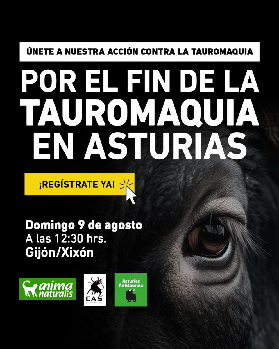 AnimaNaturalis's tweet photo. 🐂📢 ¡ES HOY!

Hoy salimos a la calle para exigir una Feria de Begoña sin tauromaquia.

Si estás en Gijón o puedes acercarte, este es el momento de dar un paso al frente por los animales.

¡Te esperamos!
🗓 Domingo 9 agosto
🖤 Ven de negro
⏰ 12:30
📍 Plaza del Marqués. Gijón. https://t.co/2zuZIUYFl5