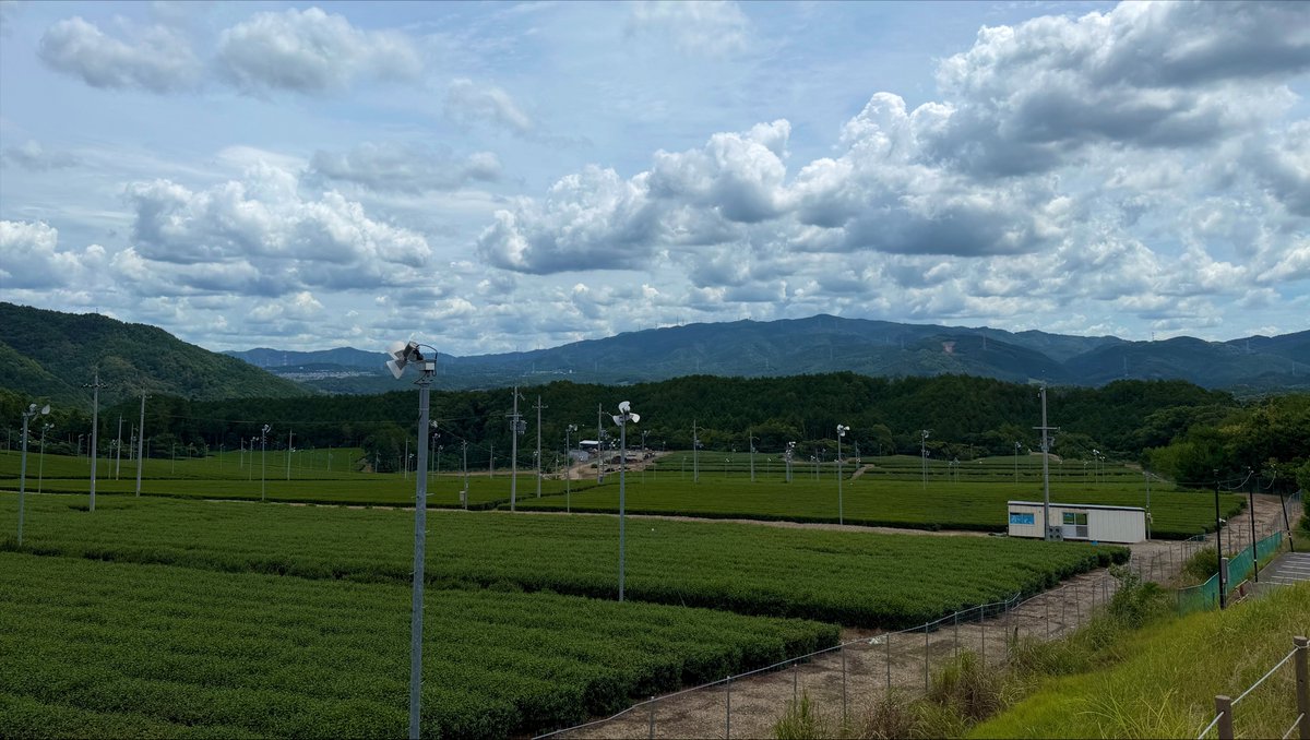 Nigedora's tweet photo. 宇治茶の産地、宇治田原。お茶っとした町でちょうどよいドライブコースよ。ユーフォのツアーもやってた。 https://t.co/I1B2H3BruV