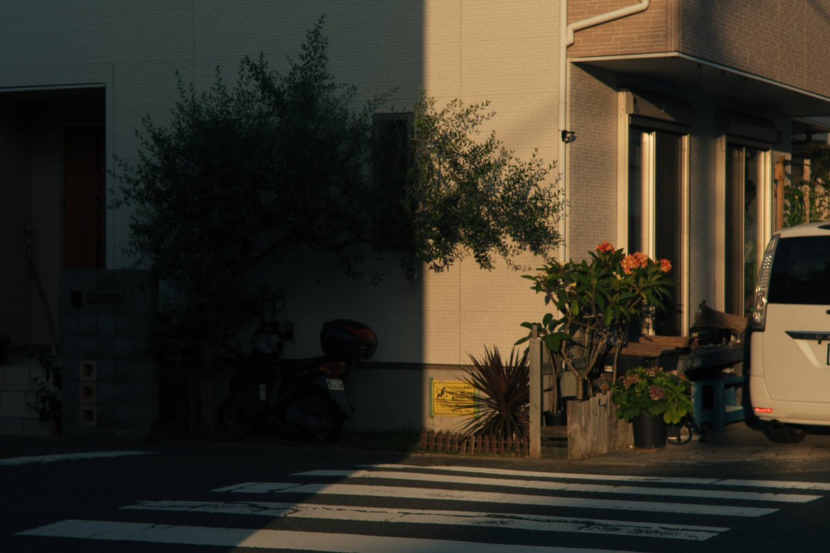 miyamae_photo's tweet photo. alone. https://t.co/2GDf29TYbO